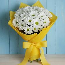 Букет цветов из:  Хризантемы в Рубцовске Алтайский Край