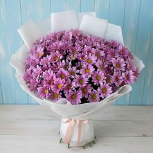 Букет цветов из:  Хризантемы #REPLACE_PRED# Рубцовске Алтайский Край