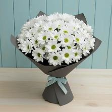 Букет цветов из:  Хризантемы в Рубцовске Алтайский Край