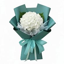 Букет цветов из:  Гортензия в Рубцовске Алтайский Край